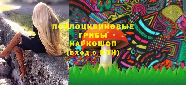 ГАЛЛЮЦИНОГЕННЫЕ ГРИБЫ Алексин