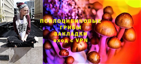 не бодяженный Алзамай