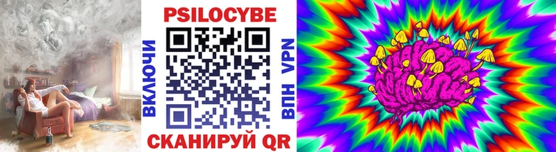 закладки  Москва  Псилоцибиновые грибы Magic Shrooms 
